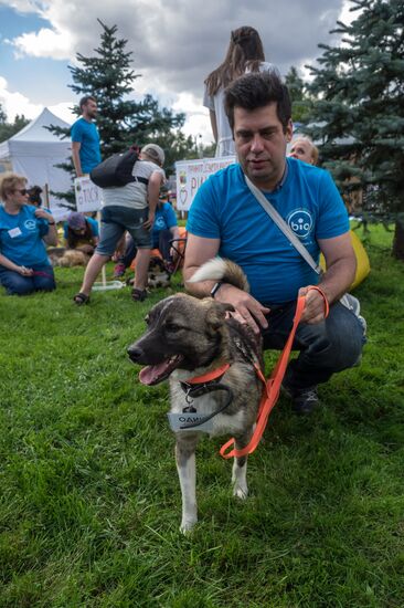 Life Companions festival for dogs and people