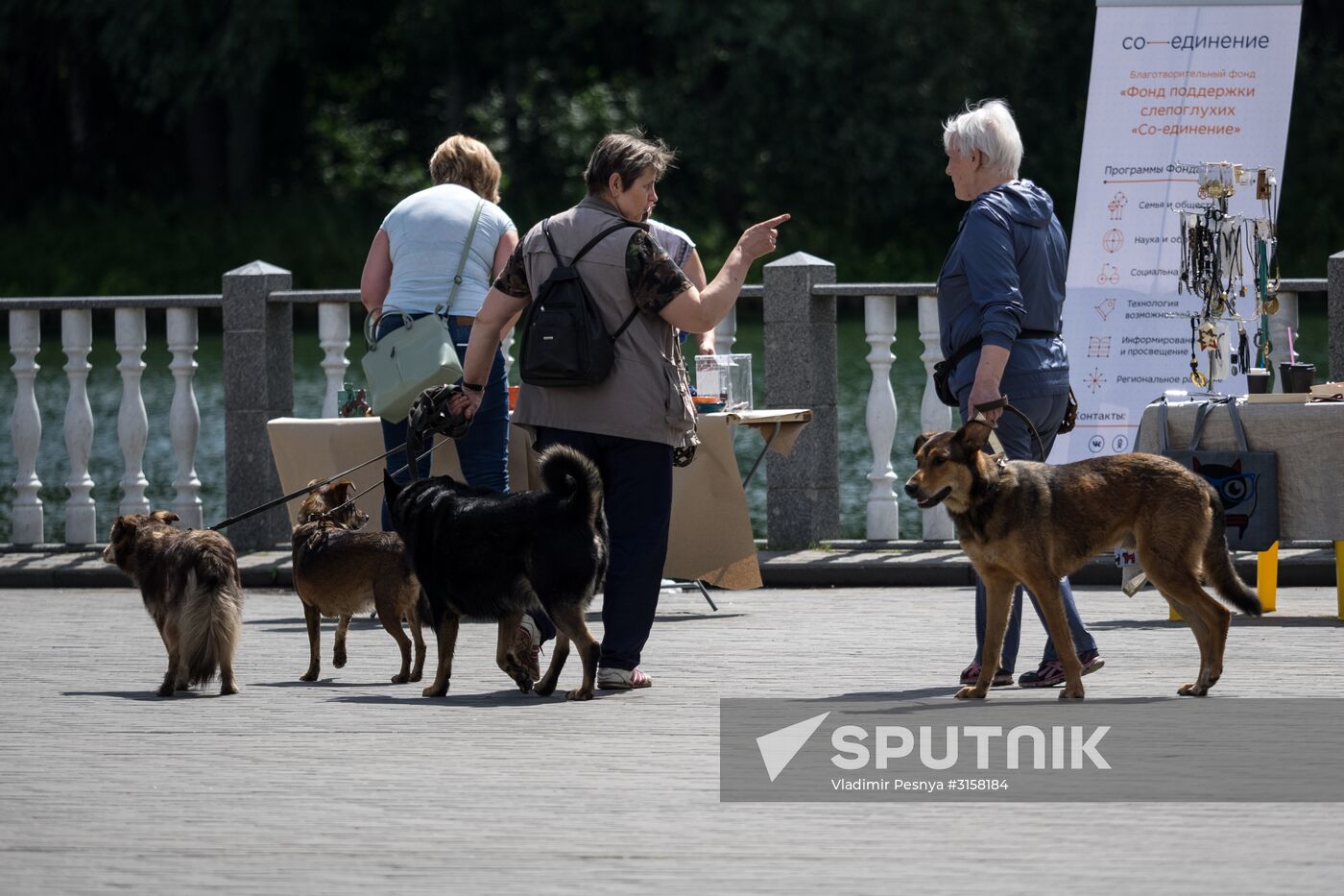 Life Companions festival for dogs and people