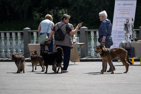 Life Companions festival for dogs and people