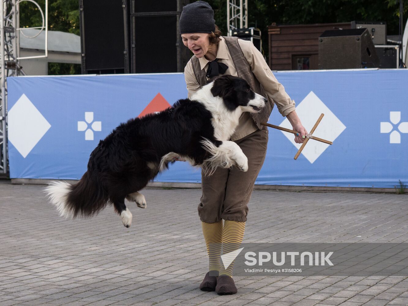 Life Companions festival for dogs and people