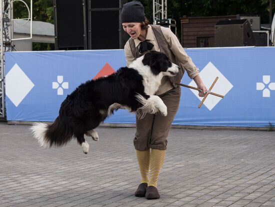 Life Companions festival for dogs and people