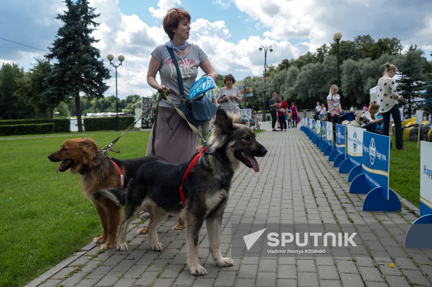 Life Companions festival of dogs and people