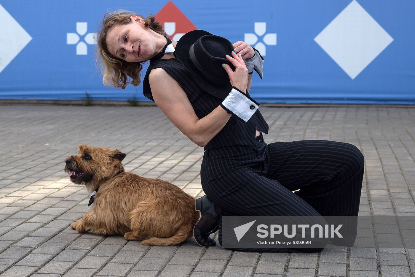 Life Companions festival of dogs and people