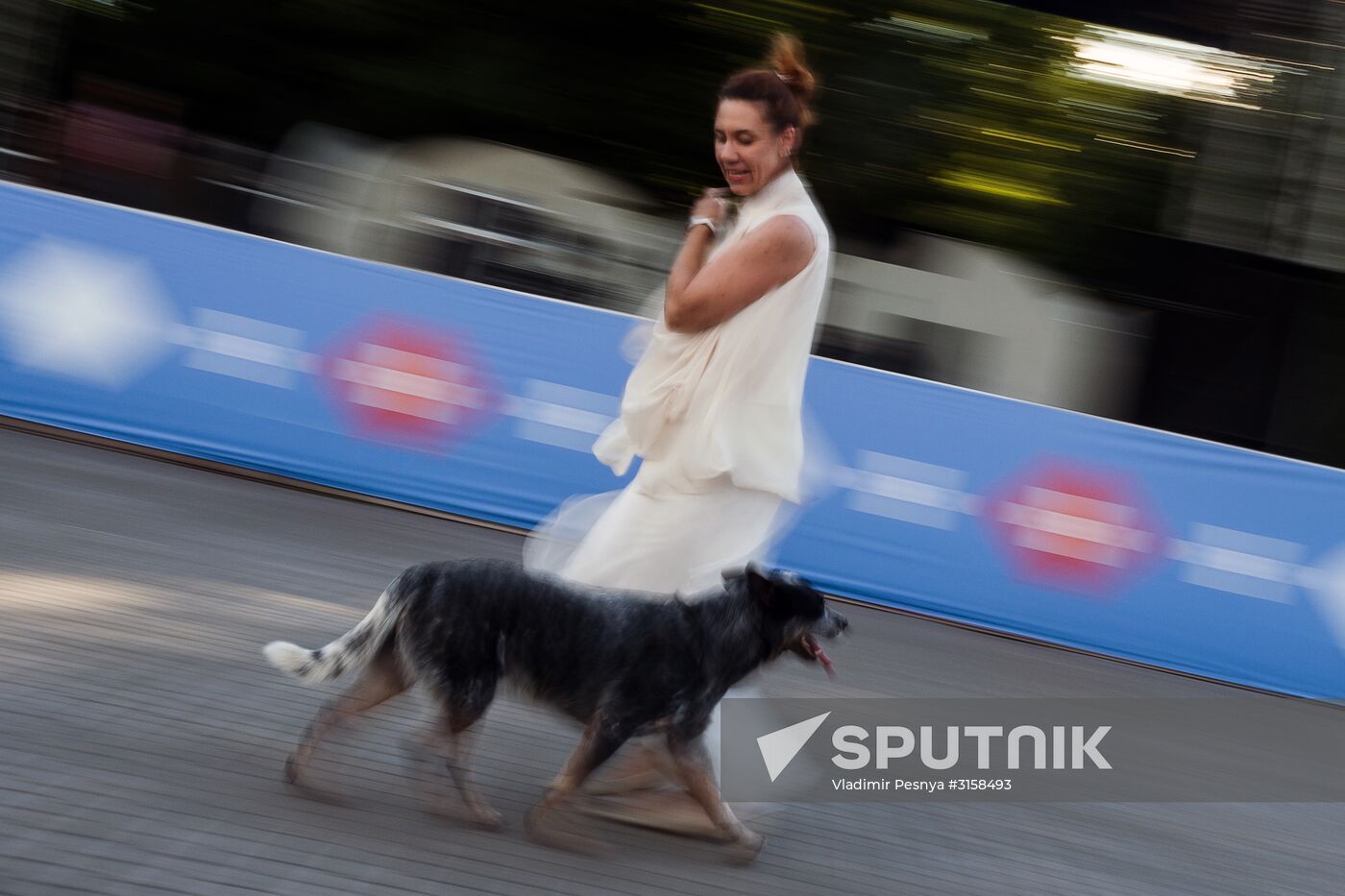 Life Companions festival of dogs and people