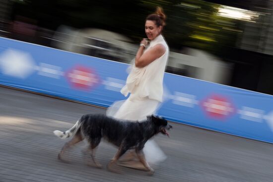 Life Companions festival of dogs and people