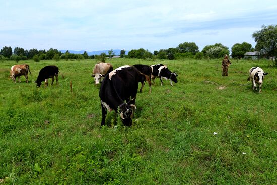 Owners of Far Eastern Hectare in Khabarovsk Territory