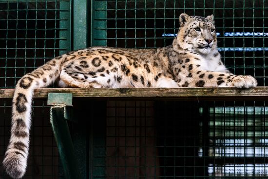 Center for Rare Animal Species Reproduction near Volokolamsk