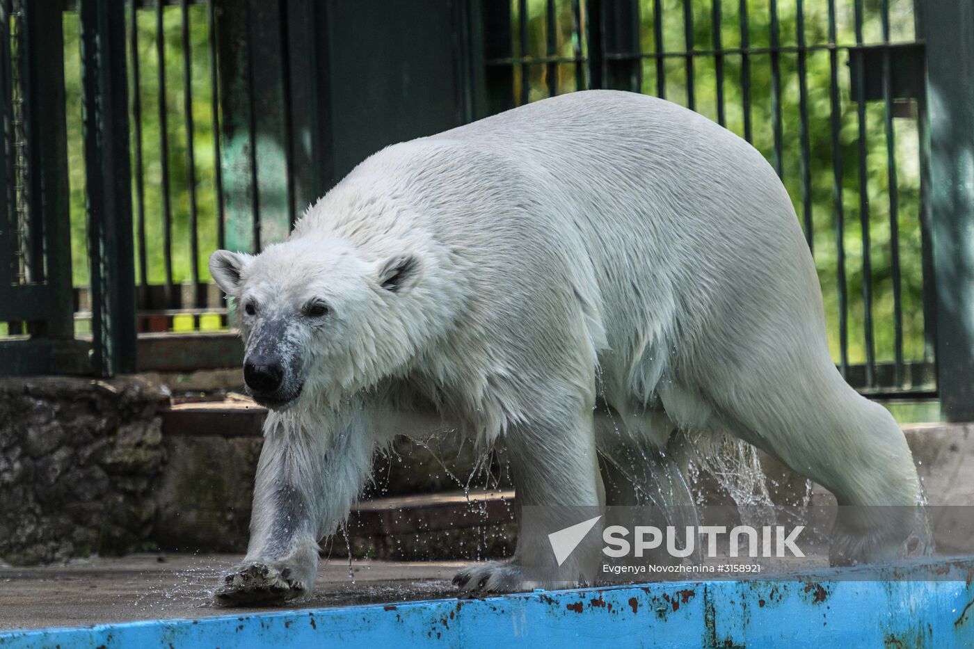 Center for Rare Animal Species Reproduction near Volokolamsk