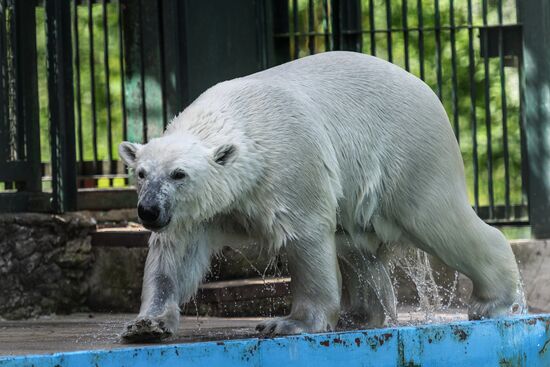 Center for Rare Animal Species Reproduction near Volokolamsk