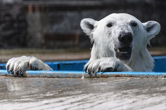 Center for Rare Animal Species Reproduction near Volokolamsk