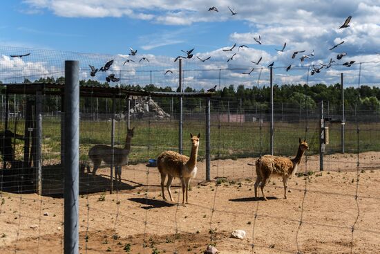 Center for Rare Animal Species Reproduction near Volokolamsk