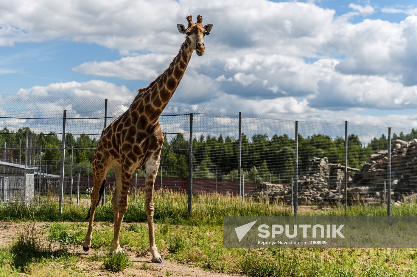 Center for Rare Animal Species Reproduction near Volokolamsk