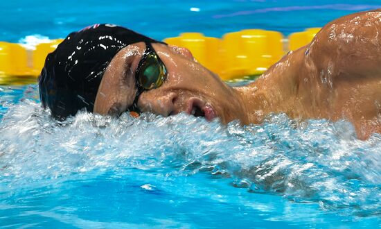 17th FINA World Championship. Swimming. Day two