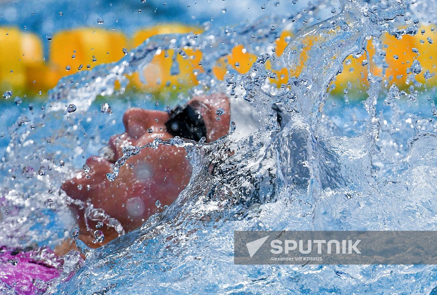 17th FINA World Masters Championships. Swimming. Day two