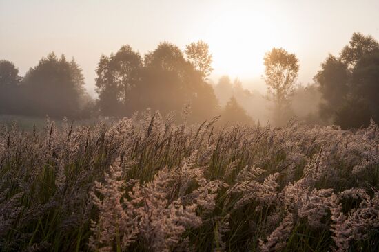 Russian regions. Ryazan Region