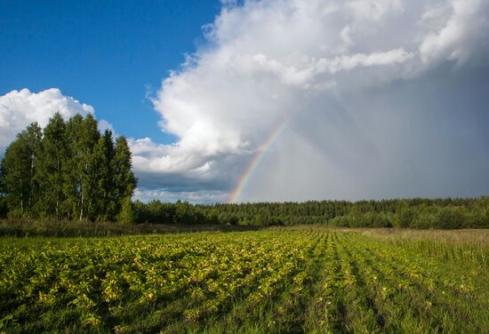 Russian regions. Ryazan Region