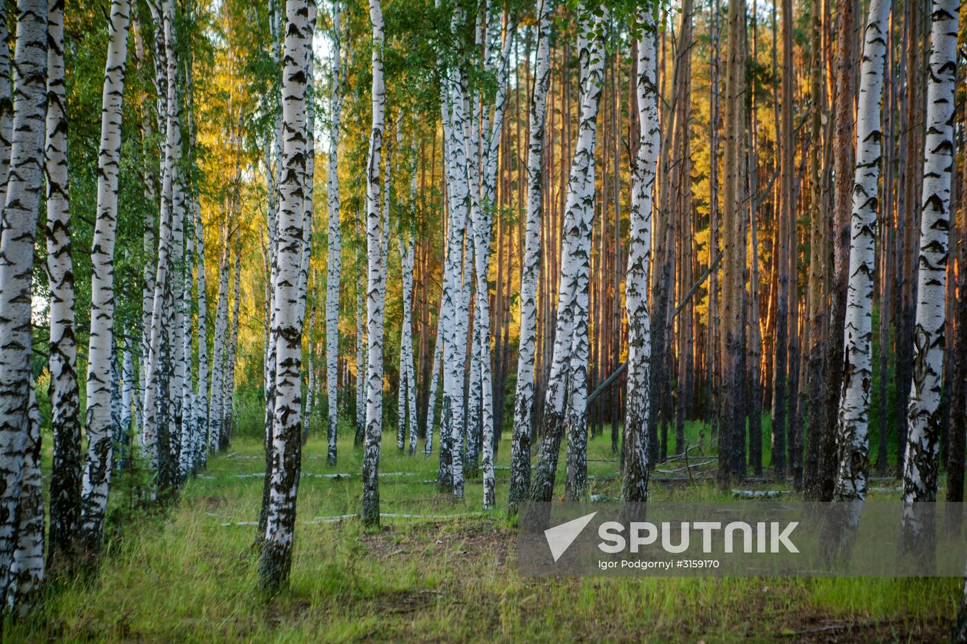 Russian regions. Ryazan Region