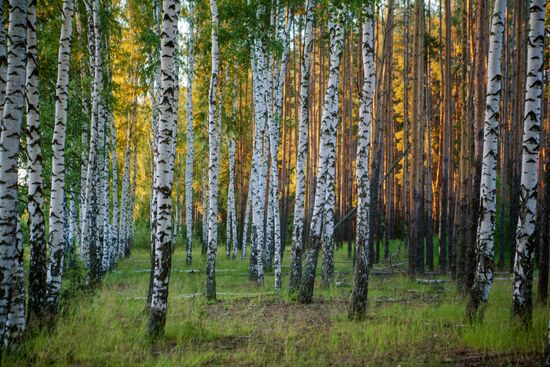 Russian regions. Ryazan Region