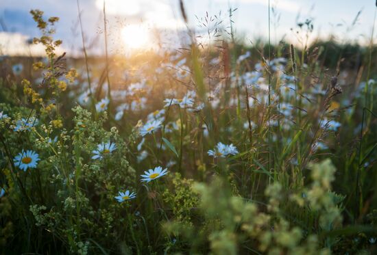 Russian regions. Ryazan Region