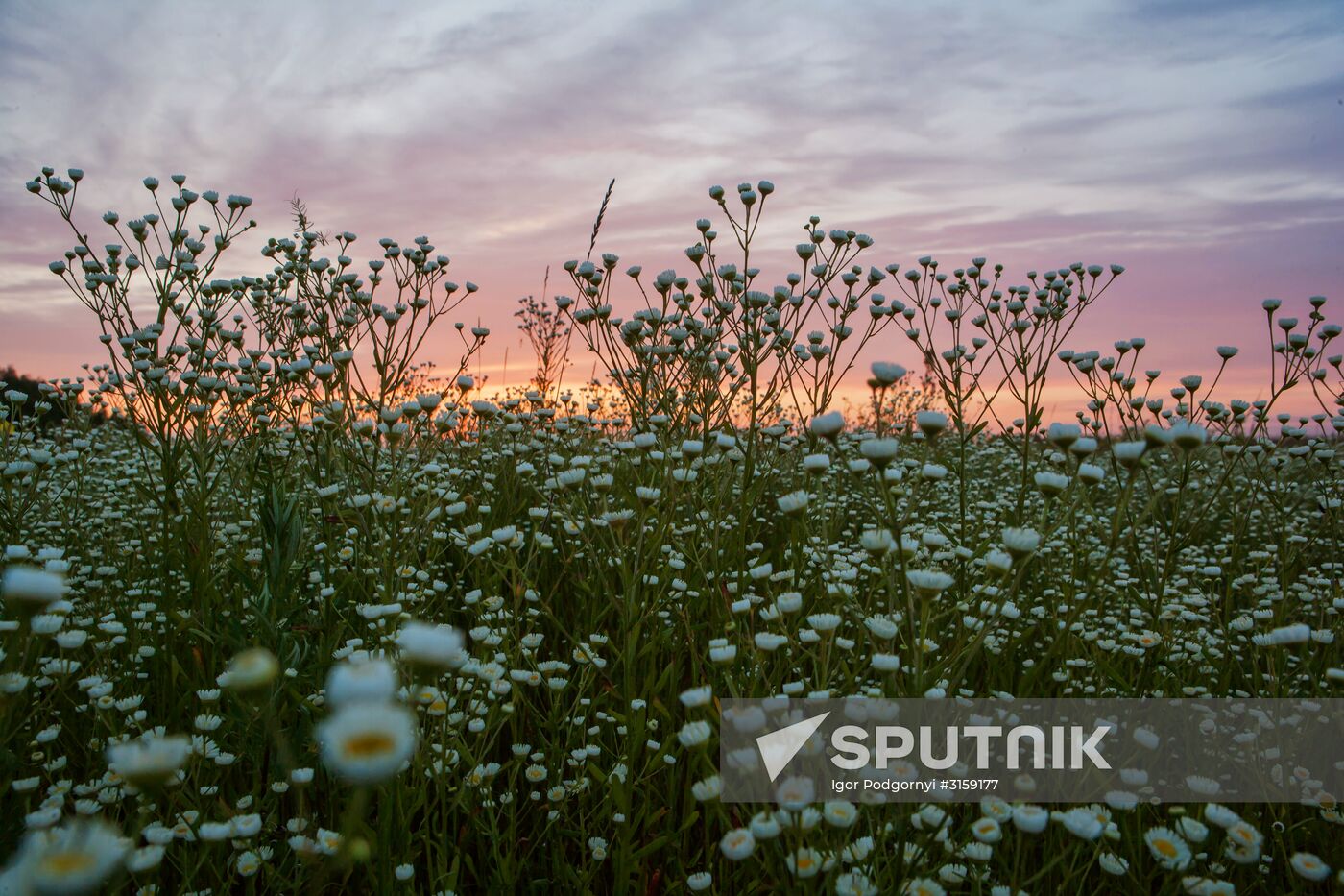 Russian regions. The Ryazan Region