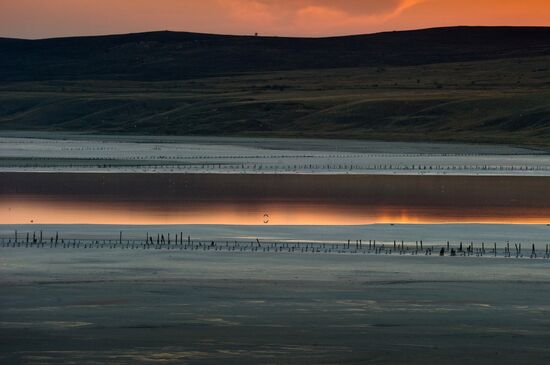 Chokrak Lake in Crimea