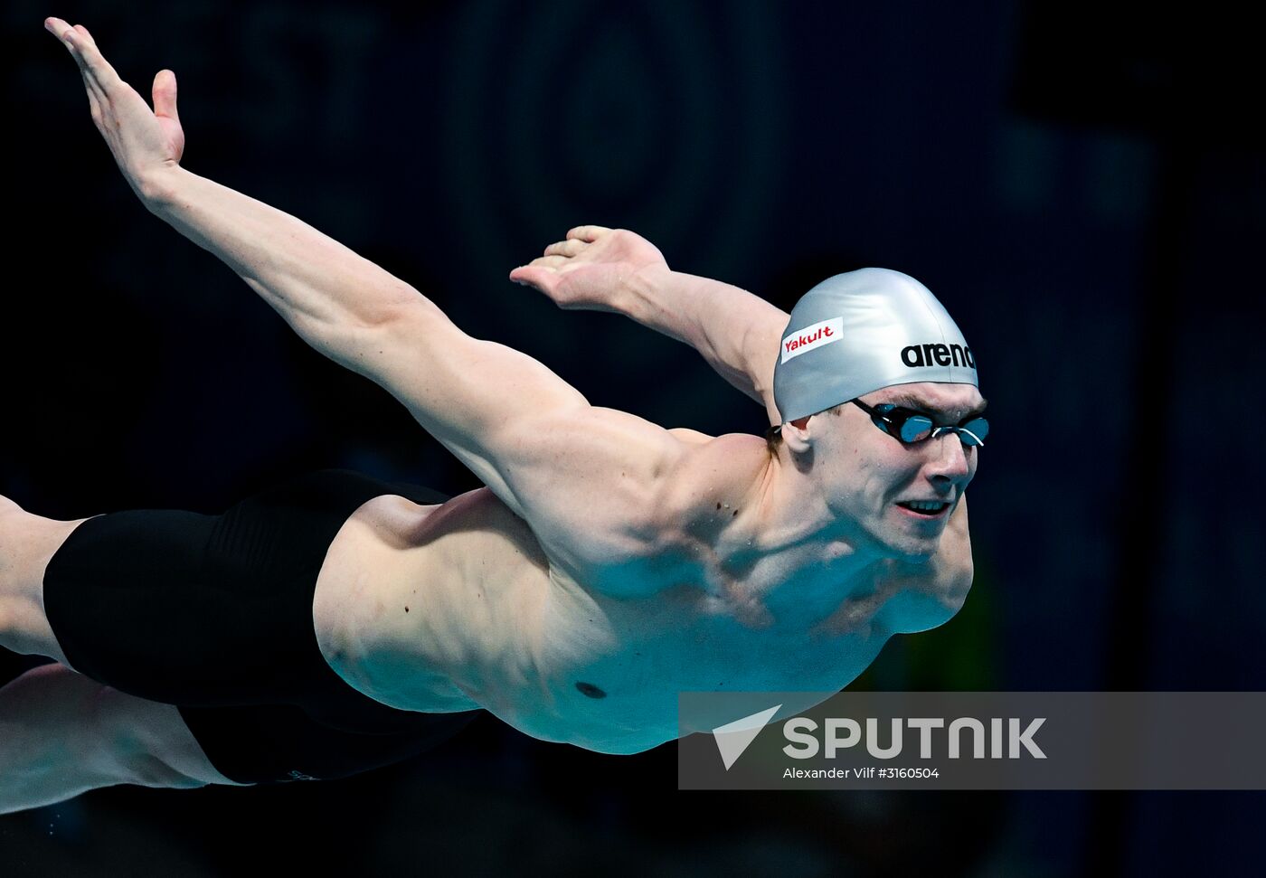 17th FINA World Championships. Swimming. Day five