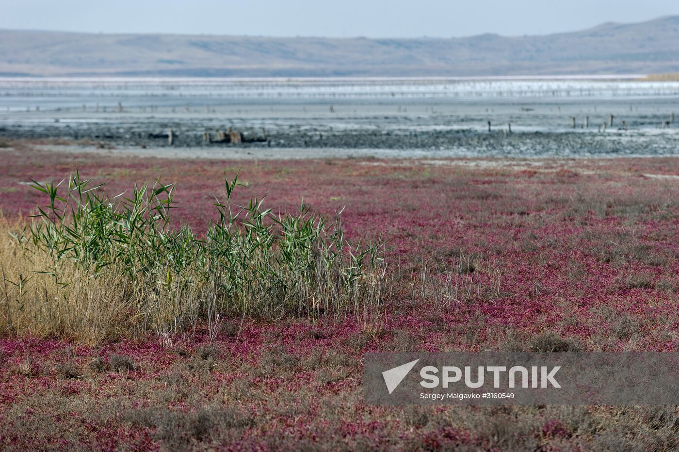 Chokrak Lake in Crimea