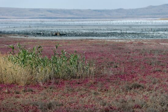 Chokrak Lake in Crimea
