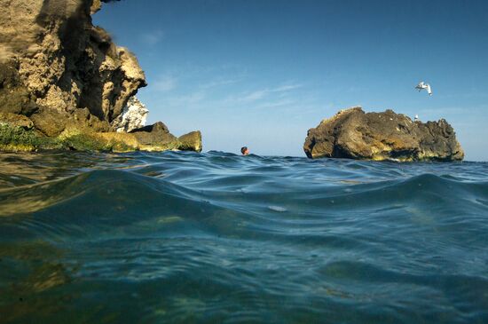 Vacation on Sea of Azov in Crimea