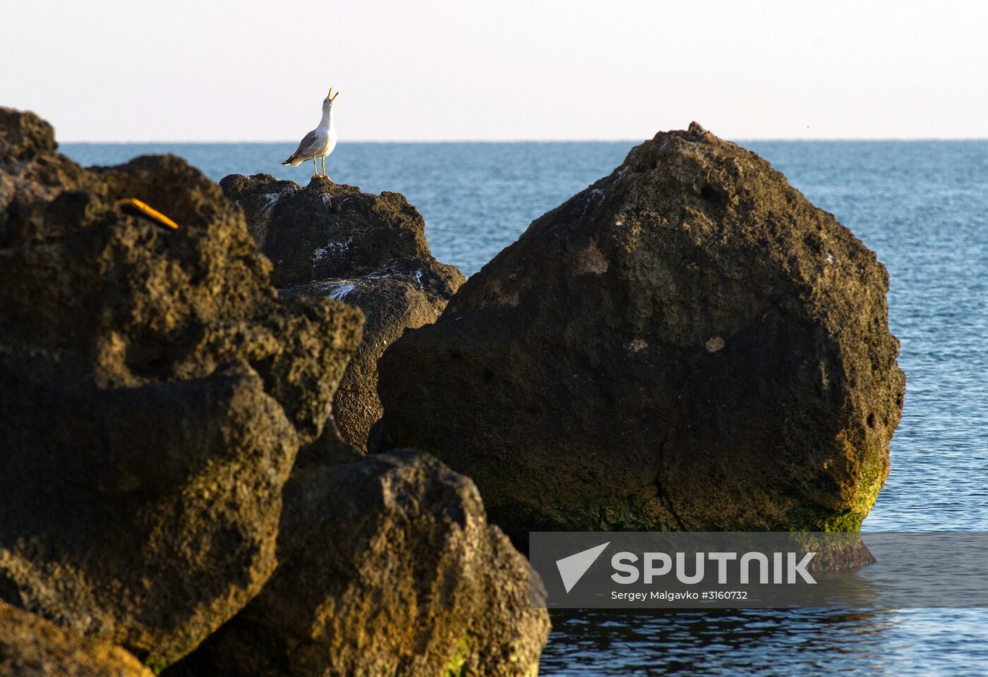 Vacation on Sea of Azov in Crimea