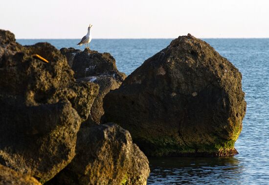 Vacation on Sea of Azov in Crimea