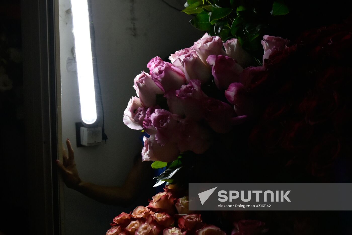 Blackout in Crimea