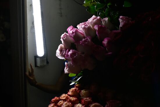 Blackout in Crimea