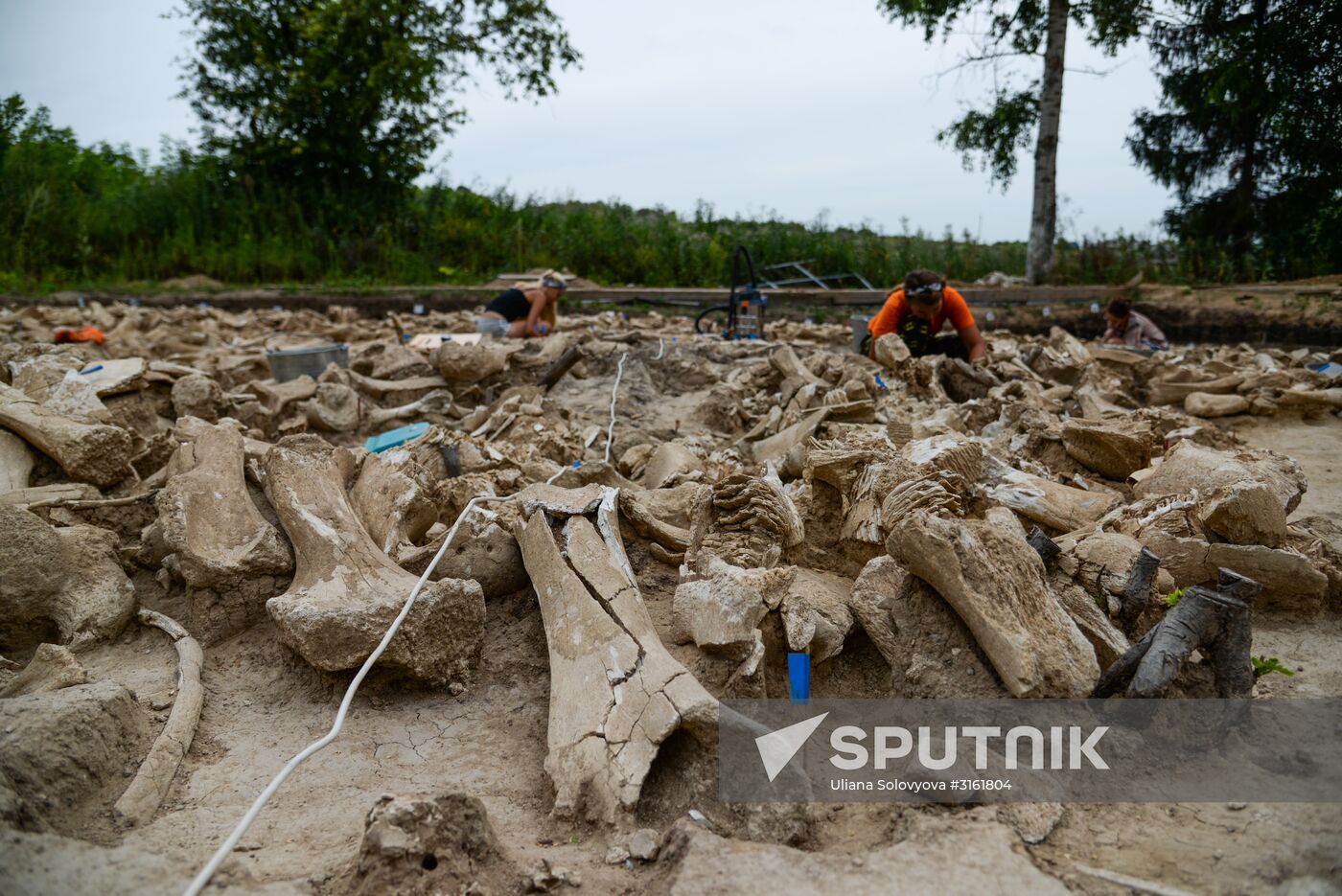 Archeological dig in Voronezh Region