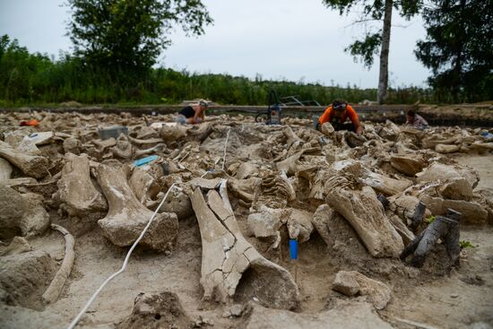Archeological dig in Voronezh Region