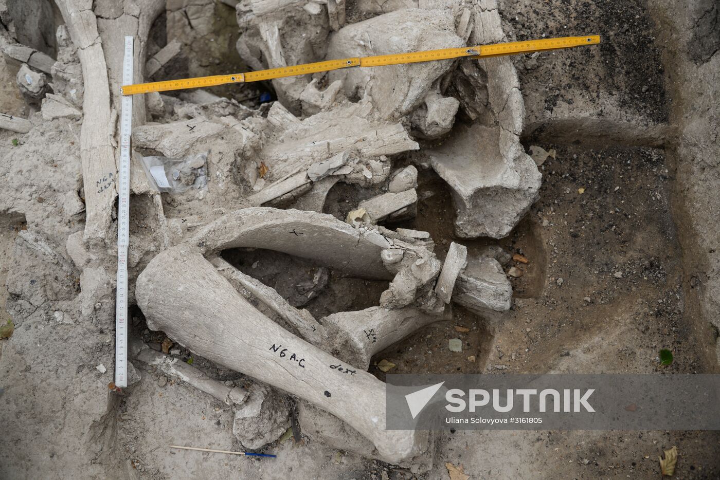 Archeological dig in Voronezh Region