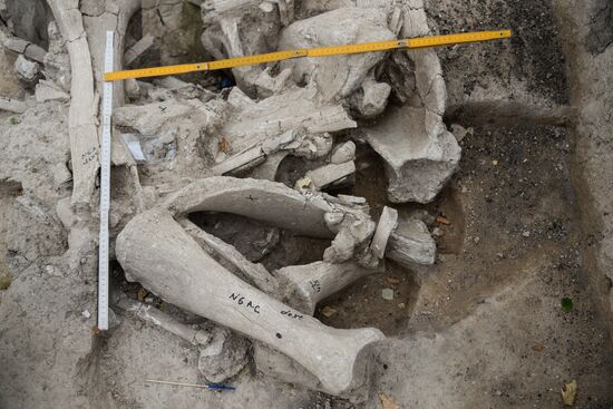 Archeological dig in Voronezh Region