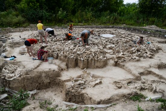 Archeological dig in Voronezh Region