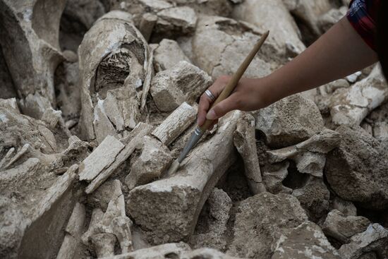 Archeological dig in Voronezh Region