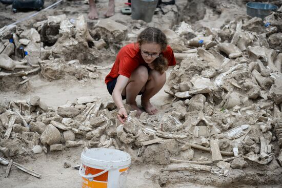 Archeological dig in Voronezh Region