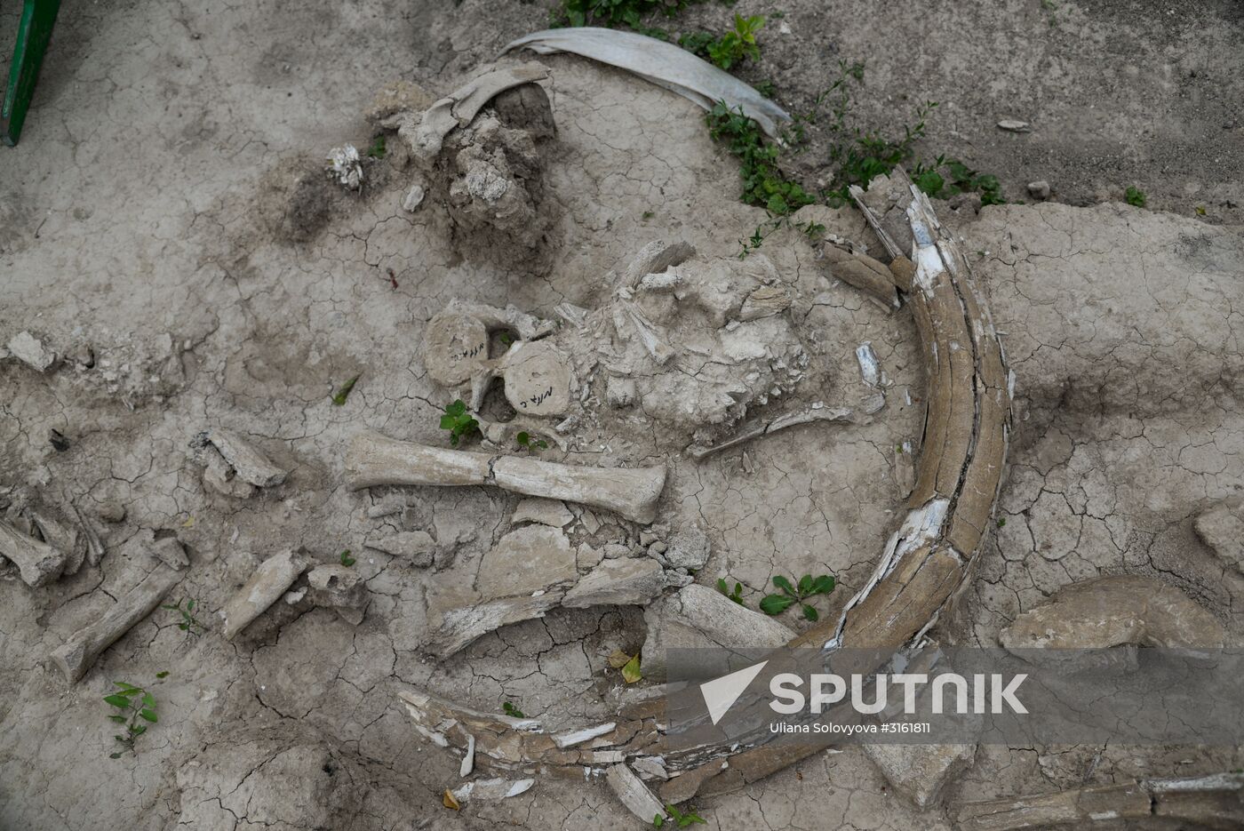 Archeological dig in Voronezh Region