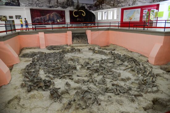 Archeological dig in Voronezh Region