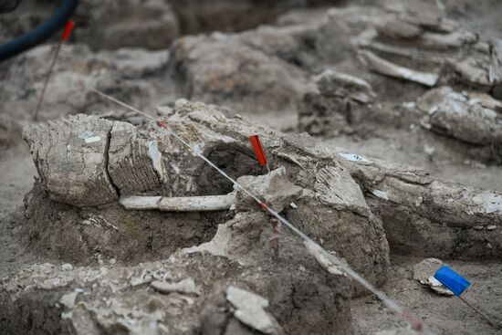 Archeological dig in Voronezh Region