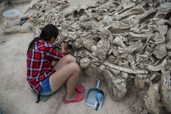Archeological dig in Voronezh Region