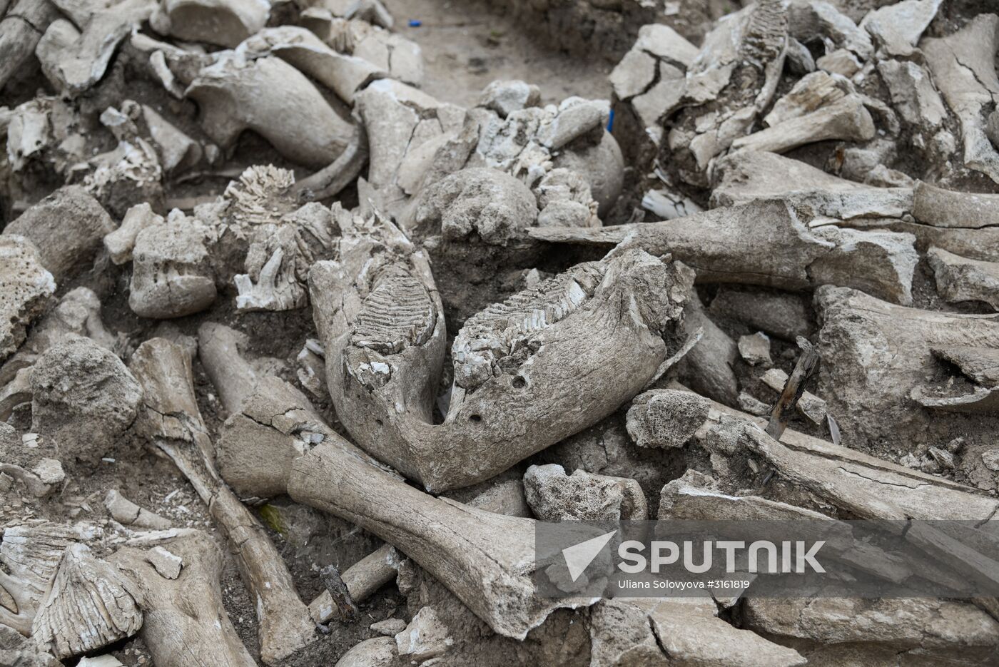 Archeological dig in Voronezh Region