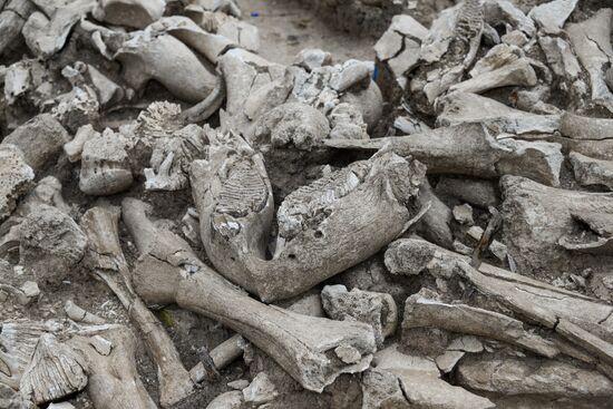 Archeological dig in Voronezh Region