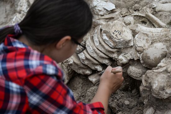 Archeological dig in Voronezh Region