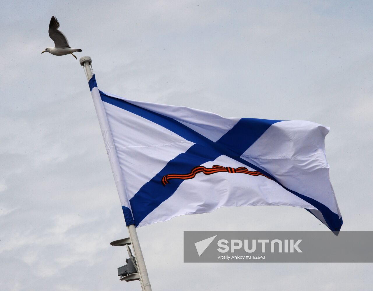 Navy Day celebrations in Russian cities