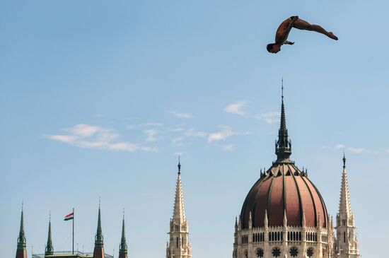 17th FINA World Championships. High diving. Men