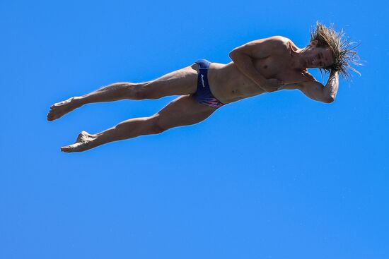 17th FINA World Championships. High diving. Men